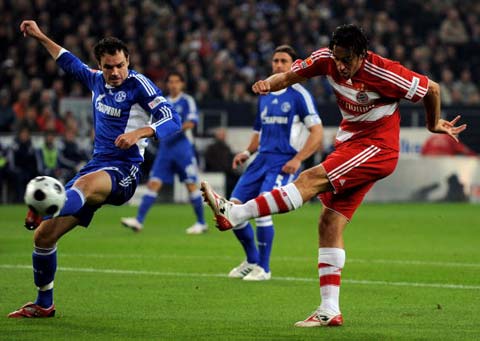 这种全面的 这种全面的